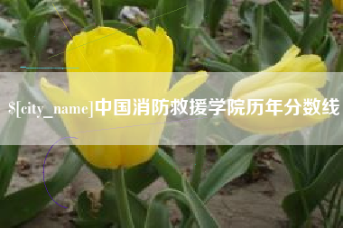 象山中国消防救援学院历年分数线