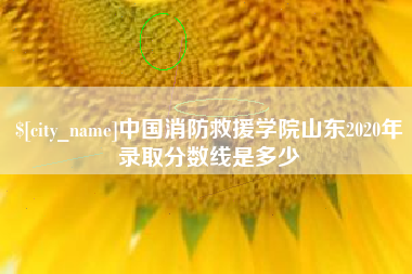 象山中国消防救援学院山东2020年录取分数线是多少