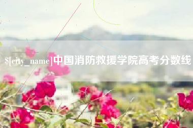 象山中国消防救援学院高考分数线