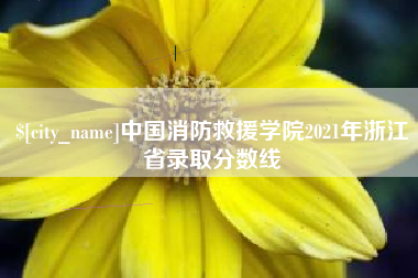 象山中国消防救援学院2021年浙江省录取分数线