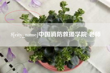 象山中国消防救援学院 老师