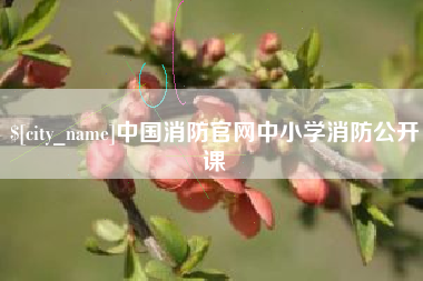 象山中国消防官网中小学消防公开课