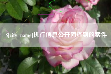 象山执行信息公开网查到的案件