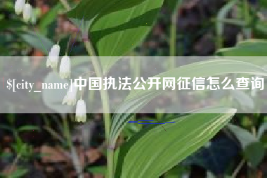 象山中国执法公开网征信怎么查询