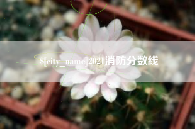 象山2021消防分数线