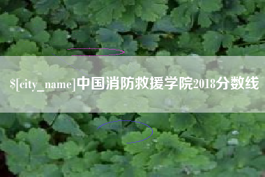 象山中国消防救援学院2018分数线