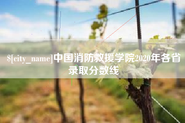 象山中国消防救援学院2020年各省录取分数线