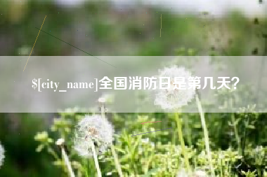 象山全国消防日是第几天？