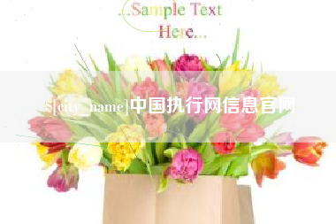 象山中国执行网信息官网