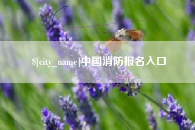 象山中国消防报名入口