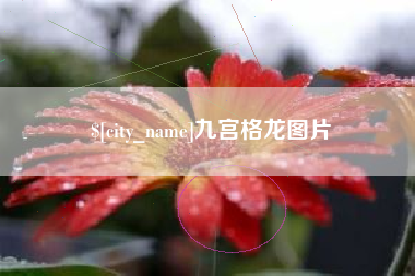 象山九宫格龙图片