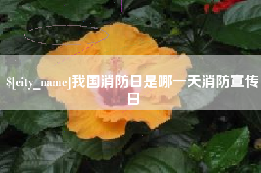 象山我国消防日是哪一天消防宣传日