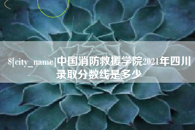 象山中国消防救援学院2021年四川录取分数线是多少