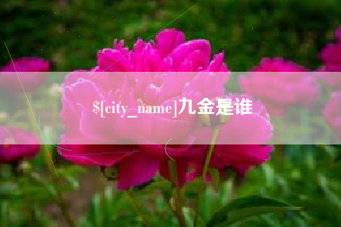 象山九金是谁