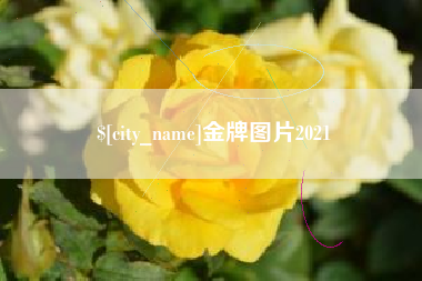象山金牌图片2021
