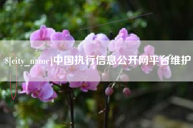 象山中国执行信息公开网平台维护