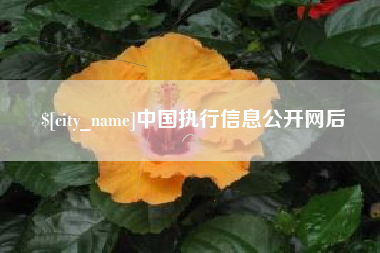 象山中国执行信息公开网后