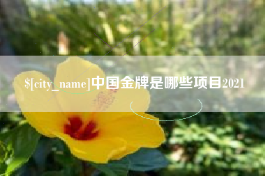 象山中国金牌是哪些项目2021