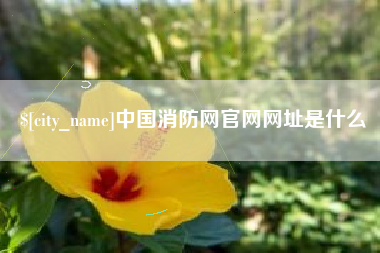 象山中国消防网官网网址是什么
