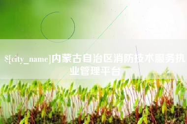 象山内蒙古自治区消防技术服务执业管理平台