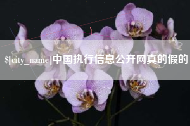 象山中国执行信息公开网真的假的