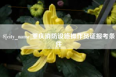 象山重庆消防设施操作员证报考条件