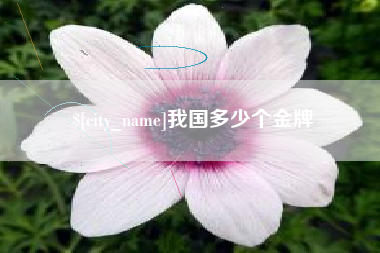 象山我国多少个金牌