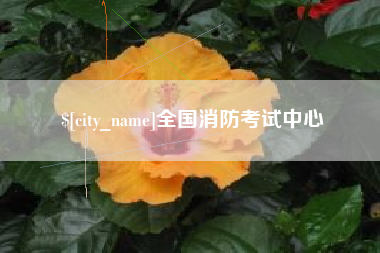 象山全国消防考试中心