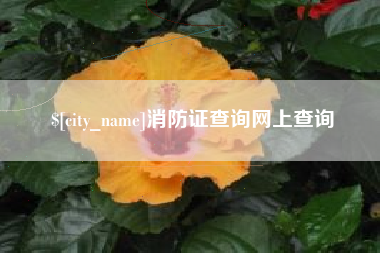 象山消防证查询网上查询
