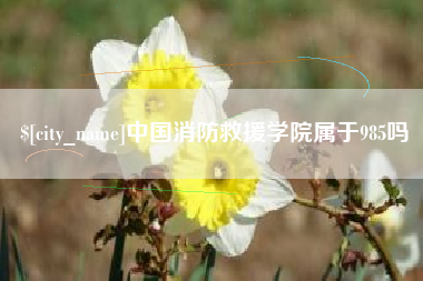 象山中国消防救援学院属于985吗