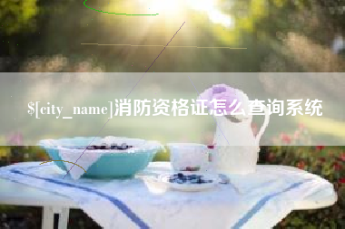 象山消防资格证怎么查询系统