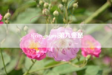 象山第九金是