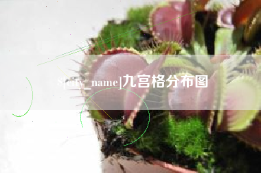 象山九宫格分布图
