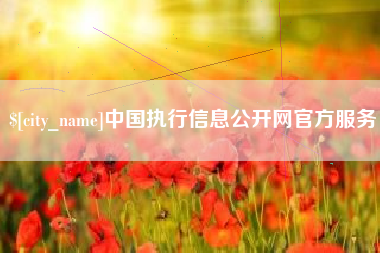 象山中国执行信息公开网官方服务