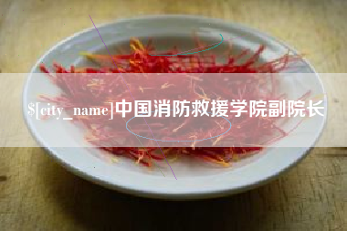 象山中国消防救援学院副院长