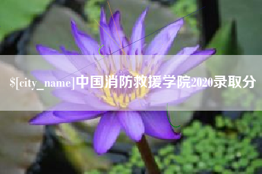 象山中国消防救援学院2020录取分