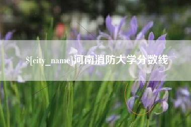 象山河南消防大学分数线