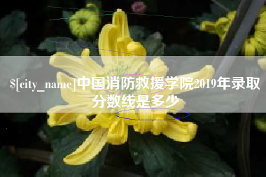 象山中国消防救援学院2019年录取分数线是多少