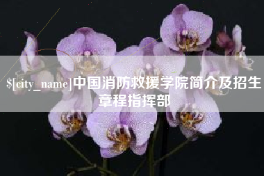 象山中国消防救援学院简介及招生章程指挥部