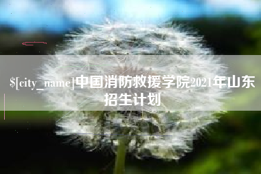 象山中国消防救援学院2021年山东招生计划