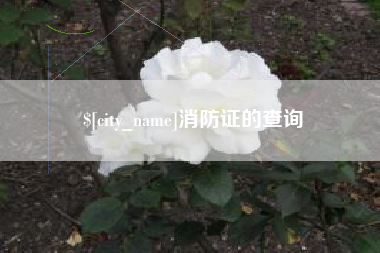 象山消防证的查询