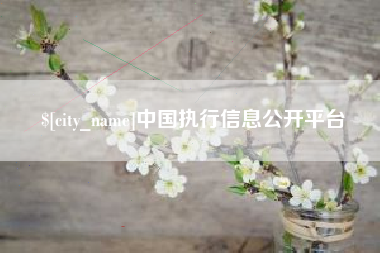 象山中国执行信息公开平台