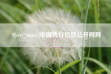 象山中国执行信息公开网网