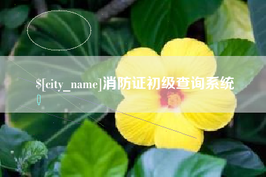 象山消防证初级查询系统