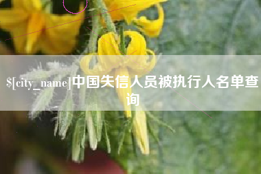 象山中国失信人员被执行人名单查询
