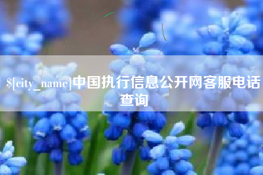 象山中国执行信息公开网客服电话查询