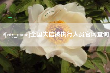 象山全国失信被执行人员官网查询