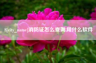 象山消防证怎么查询,用什么软件