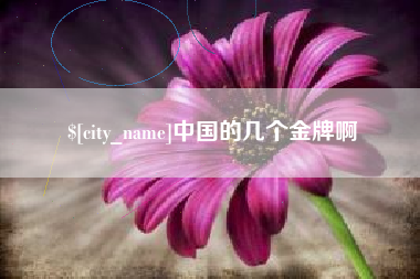 象山中国的几个金牌啊