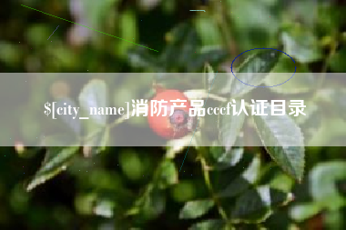 象山消防产品cccf认证目录